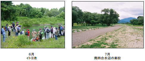 (左写真)6月イトヨ池　(右写真)7月南四合水辺の楽校