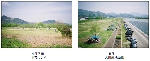 (左写真)4月グラウンド　(右写真)5月大川緑地公園
