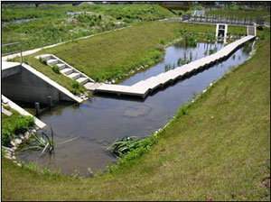 植生浄化池