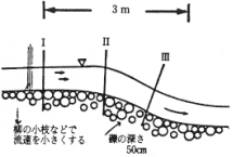 図─3　ウグイのマセ場（舟津川）断面図