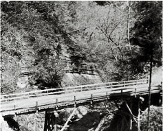 昭和２８年完成の丸木橋