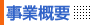 ���ƊT�v