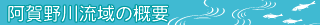 �����여��̊T�v