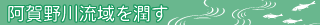 �����여�������