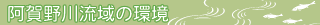 �����여��̊�