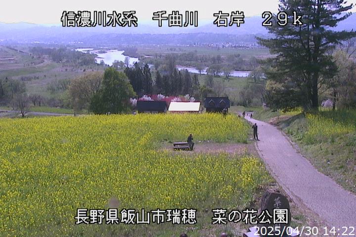 菜の花公園ライブカメラ