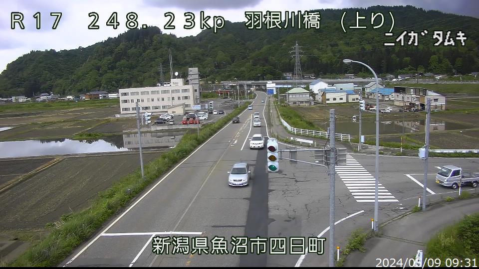国道17号 羽根川橋のライブカメラ画像