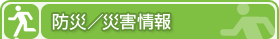 �h�Ё^�ЊQ���
