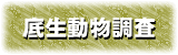 底生動物調査