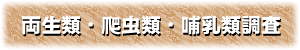 両生類・爬虫類・哺乳類調査