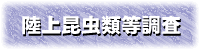 陸上昆虫類等調査