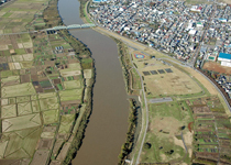 信濃川親水緑地公園全景