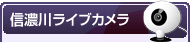 信濃川ライブカメラ