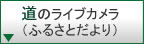 道のライブカメラ