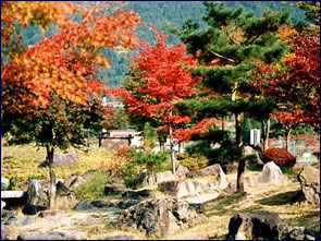 公園内の紅葉の写真