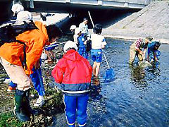 指導スタッフと一緒に川の生物調査