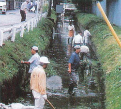 城西町環境衛生部会の写真