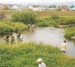 緑町旧湯川河川愛護会の写真