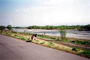 4月下旬 高田橋付近