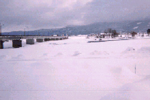 1月頃 高田橋付近