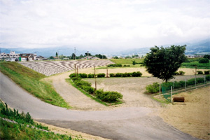 ６月下旬 日橋川緑地公園