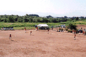 7月下旬 野球大会