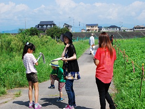 日橋川（下流）