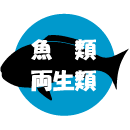 魚類と両生類