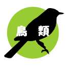 鳥類