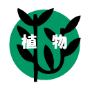 植物