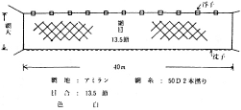 図－4　刺網