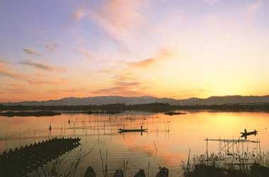 阿賀野川八景-朝焼けのサケ網場