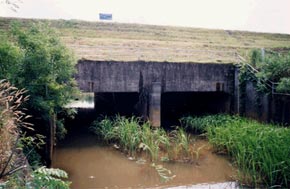 川裏側 （住居や農地がある方）