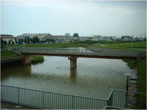 背後地の状況写真（堤防上より）