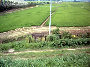 背後地の状況写真（堤防上より）