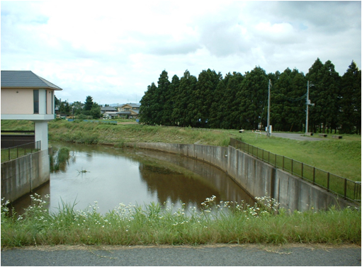 背後地の状況写真（堤防上より）