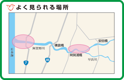 よく見られる場所の地図