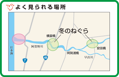 よく見られる場所の地図