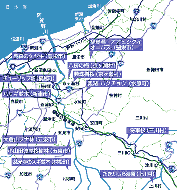 阿賀野川流域の天然記念物マップ