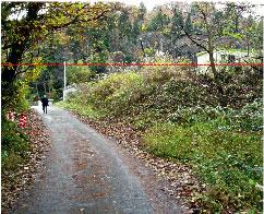 上手の堤防跡（川側より撮影）