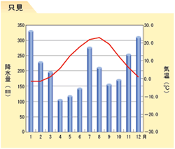 只見の年間気温と降水量グラフ