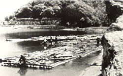 津川の筏流し（昭和30年代）