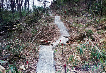 (4)平成４年４月　地すべりにより生じた観測帯のずれ