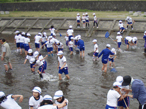 20110608-2.gif