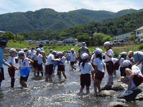 20110615-1.gif