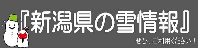 新潟県の雪情報