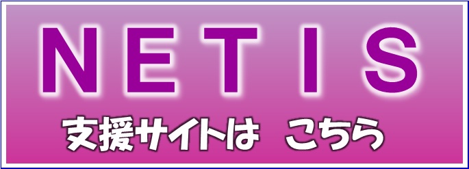 NETIS