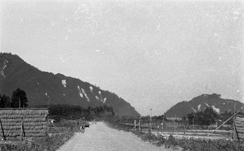 災害の記録(関川村)