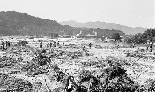 災害の記録(関川村)