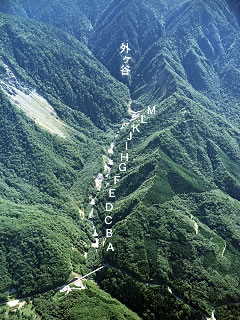 航空写真